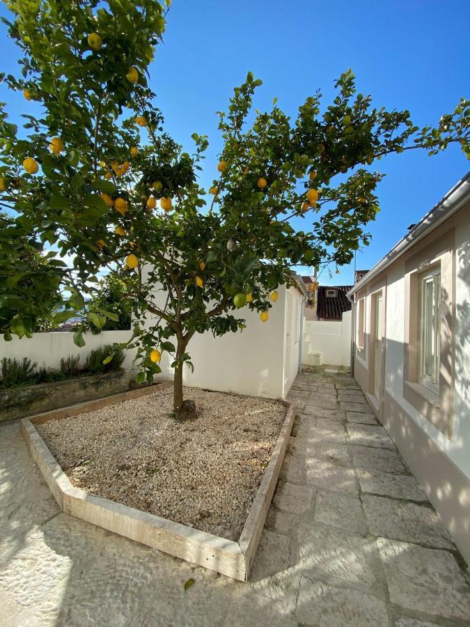 Se Velha Studios Coimbra Kültér fotó